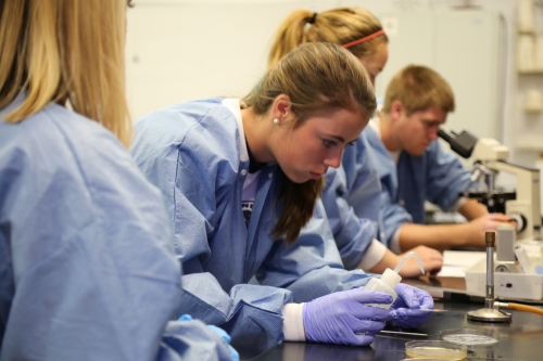 photo2 for Biology with Pre-Medicine emphasis