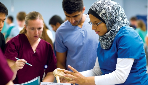 Students examining samples