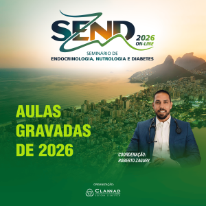 SEND 2026-Produto-aulas-gravadas