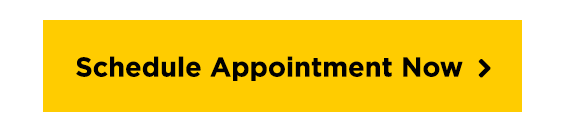 Schedule Appointment Now