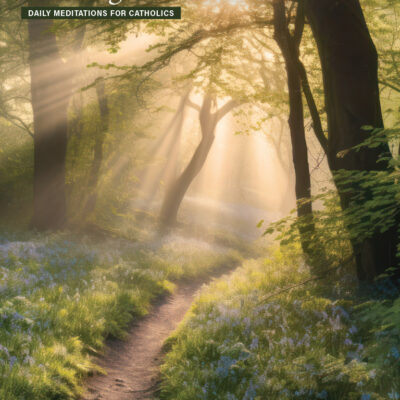 May 2024 Issue - Vimarsana News