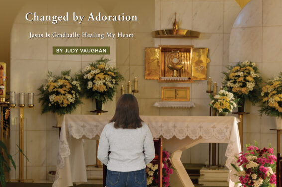 Changed by Adoration: Jesus Is Gradually Healing My Heart by Judy Vaughan