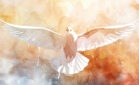 The Holy Spirit Is Important