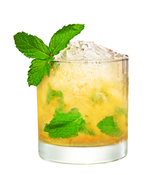 Tennessee Honey Julep