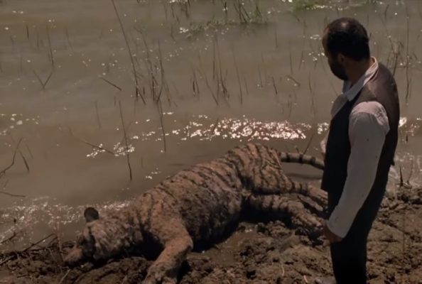 HBO, Westworld, Westworld season 2, season 2