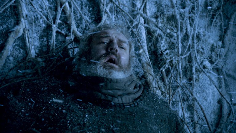 Hodor