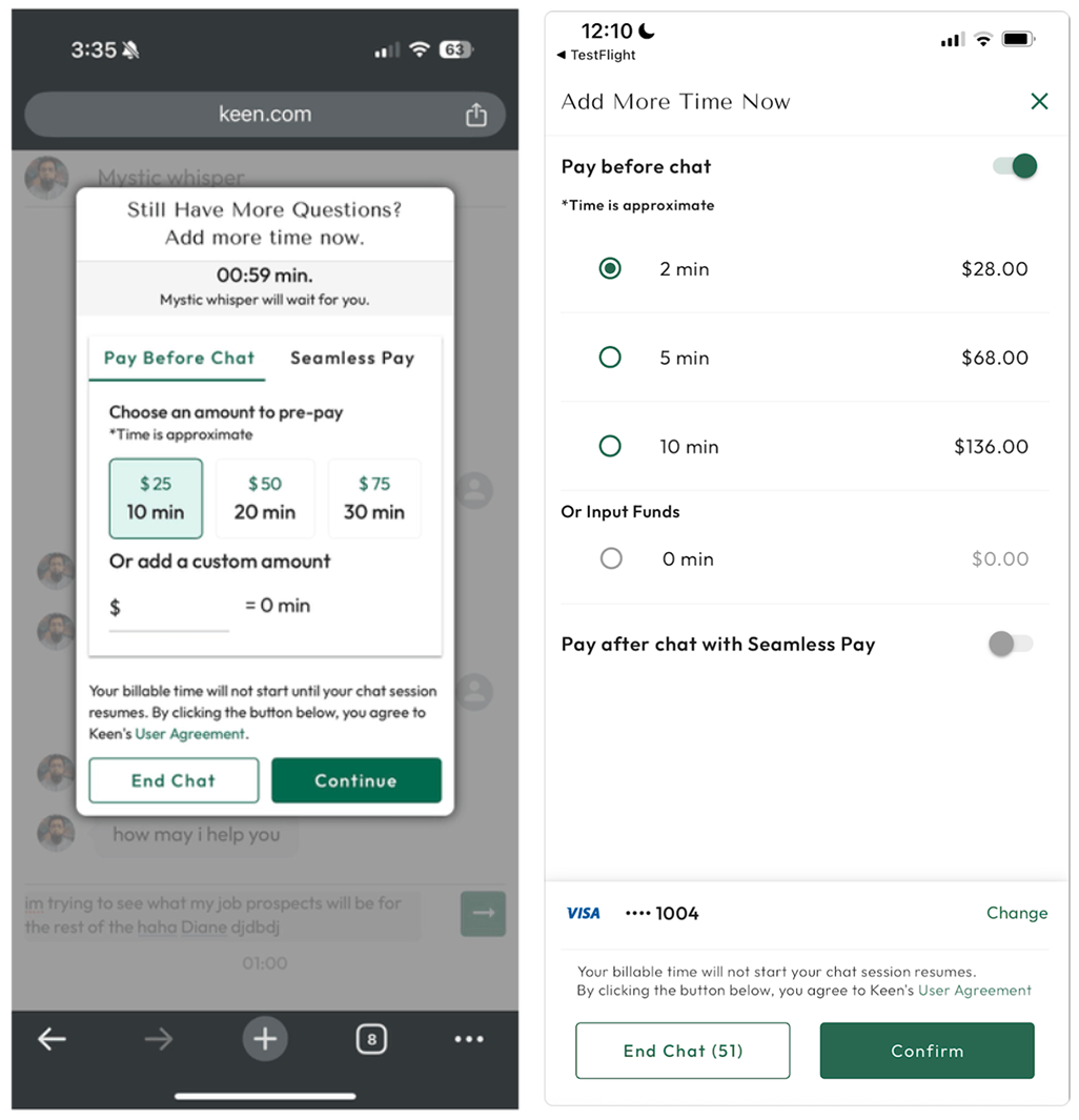 Original full-screen payment modal