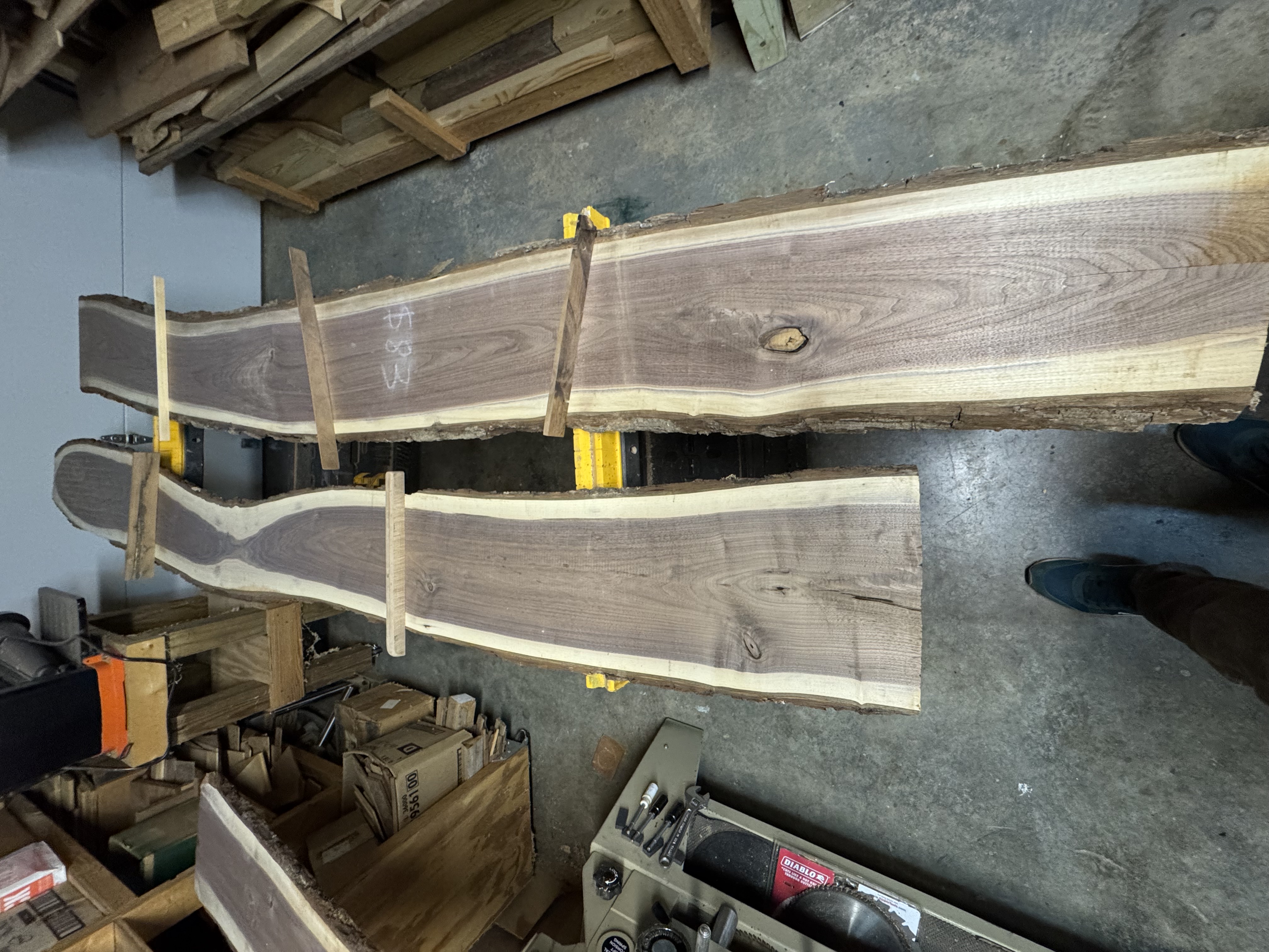 Raw walnut slabs in the woodshop