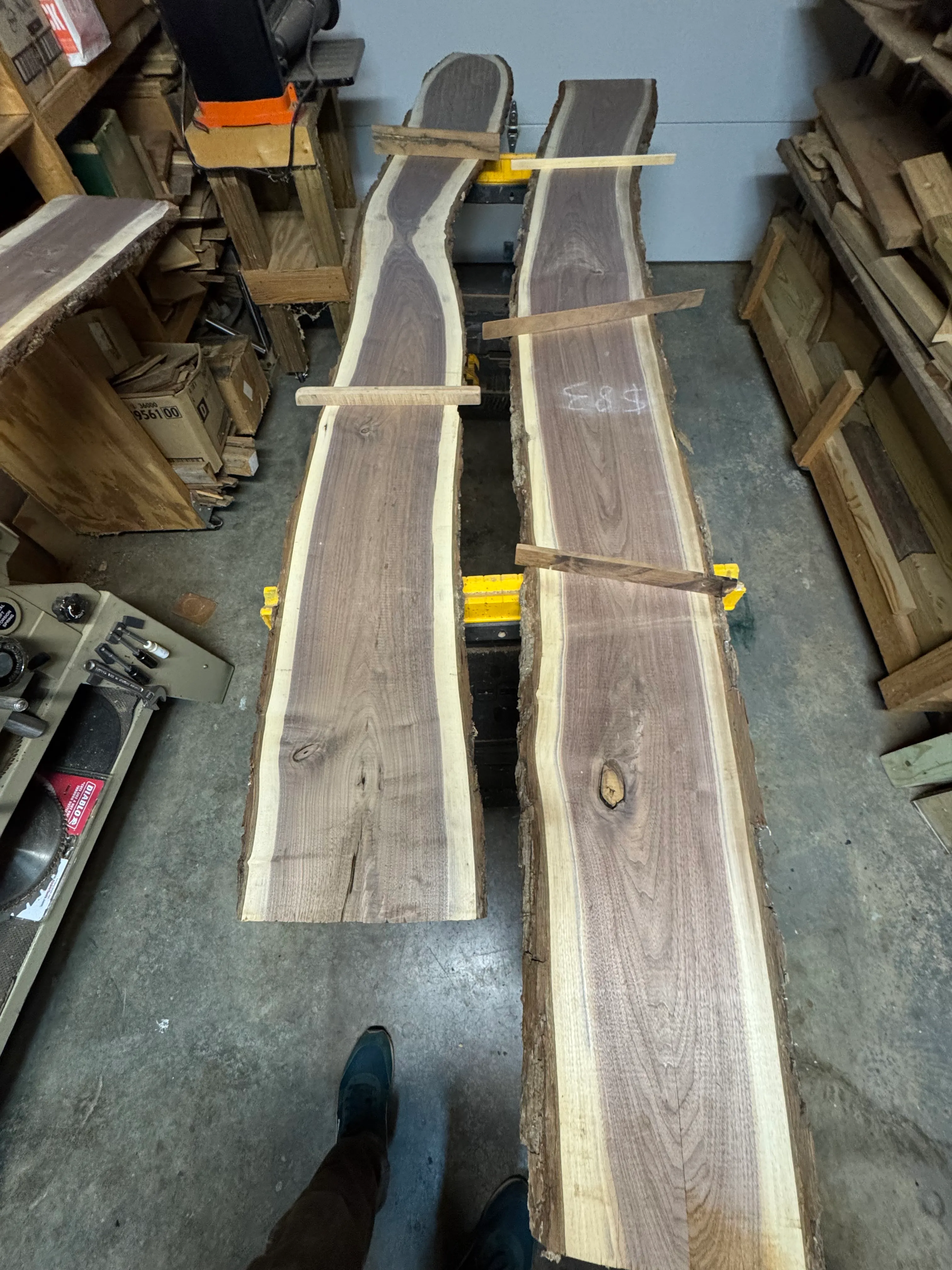 Raw walnut slabs in the woodshop