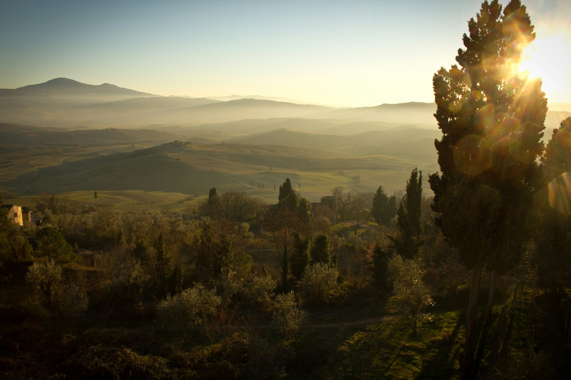 Tuscany cypress countryside road trip golden hour after Florence airport car rental