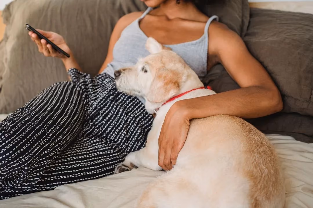 Frau liegt mit Smartphone in der Hand auf dem Bett, ein heller Labrador liegt neben ihr