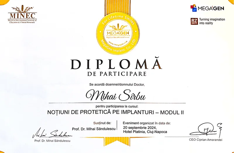 Diplomă / certificare Dr. Sîrbu Mihai