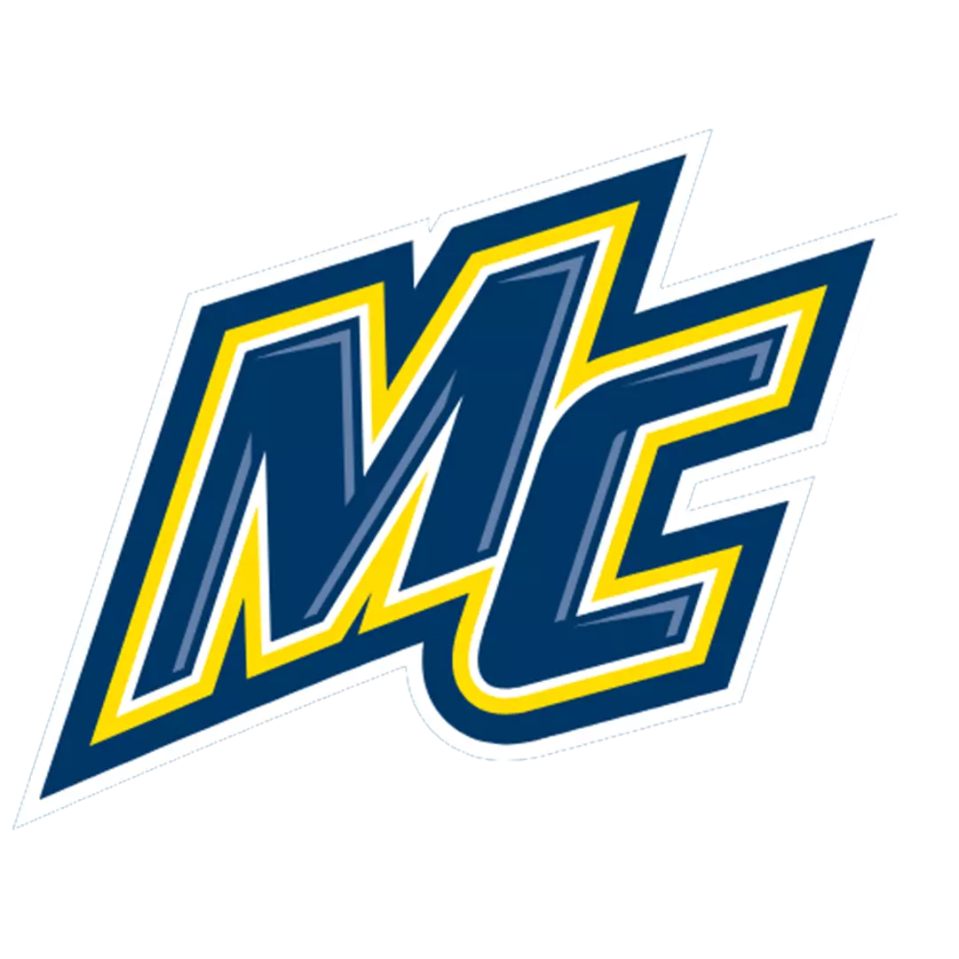 Hockey program