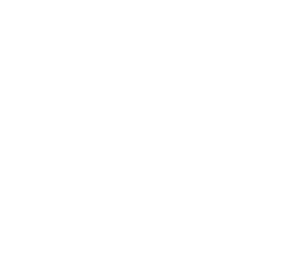 Renaissance Academy Charter School of the Arts