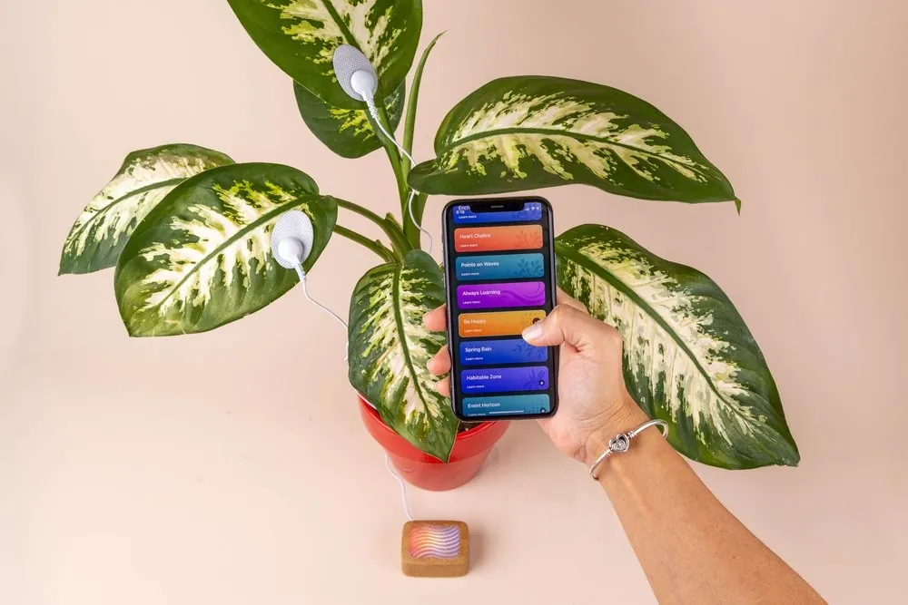 Urządzenie PlantWave podłączone do rośliny i telefonu