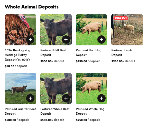 Whole animal deposits and pre-orders in the shop
