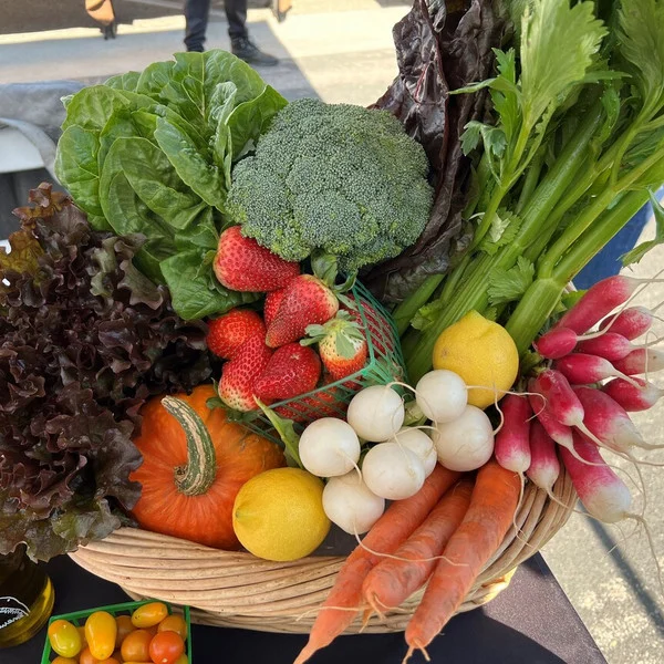 A JR Organics box packed at the market: romaine and red leaf lettuce, broccoli, celery, strawberries, radishes, carrots, lemons, a squash and cherry tomatoes in a basket