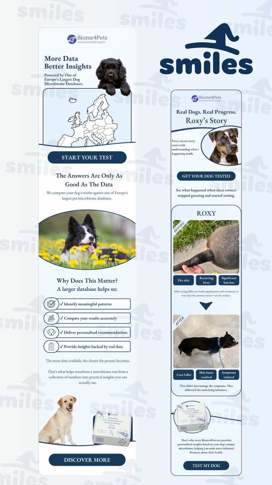 Biome4Pets: pet microbiome insights, Roxy's story