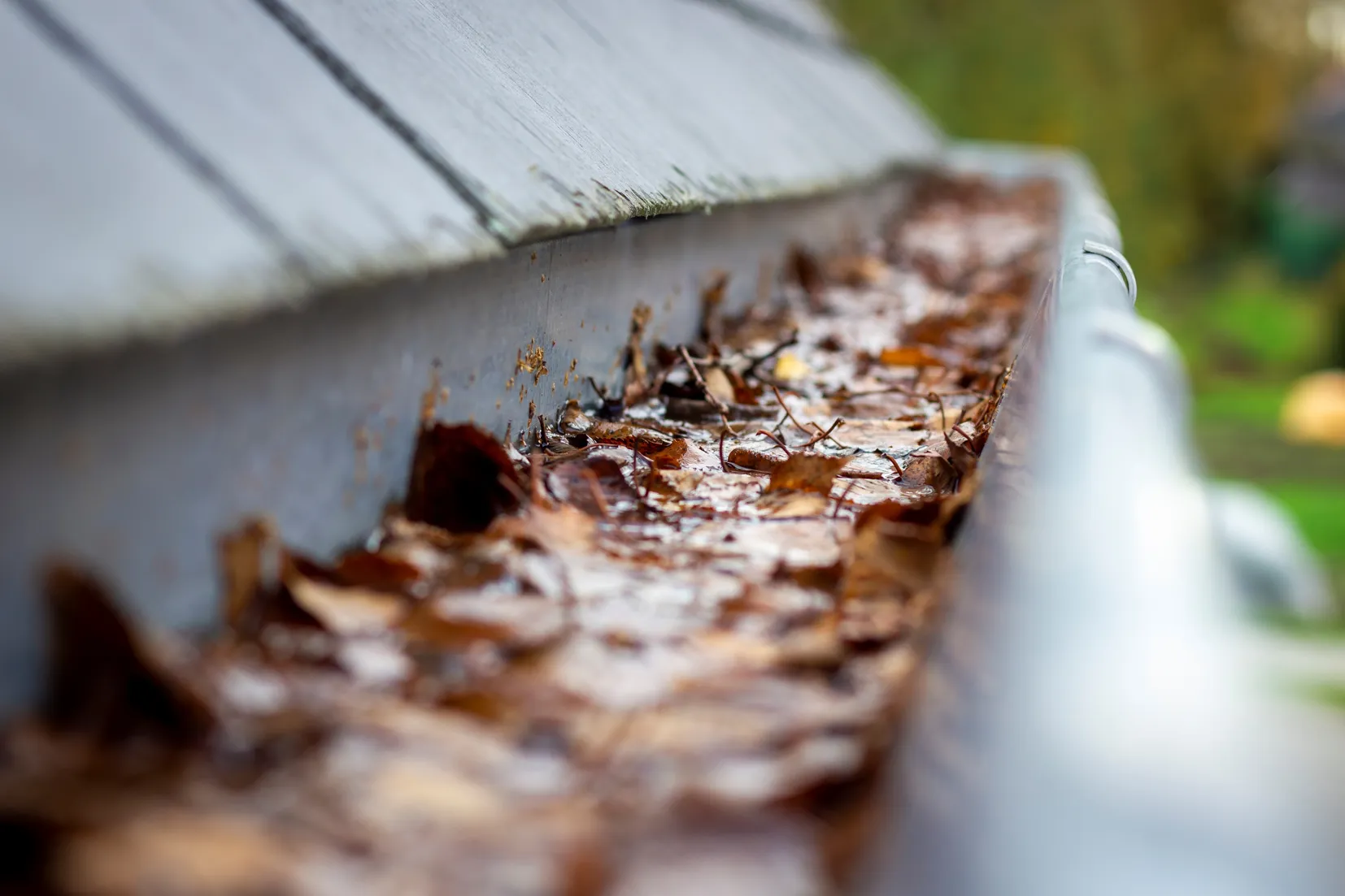 Dirty gutter at home filled with leaves and debris