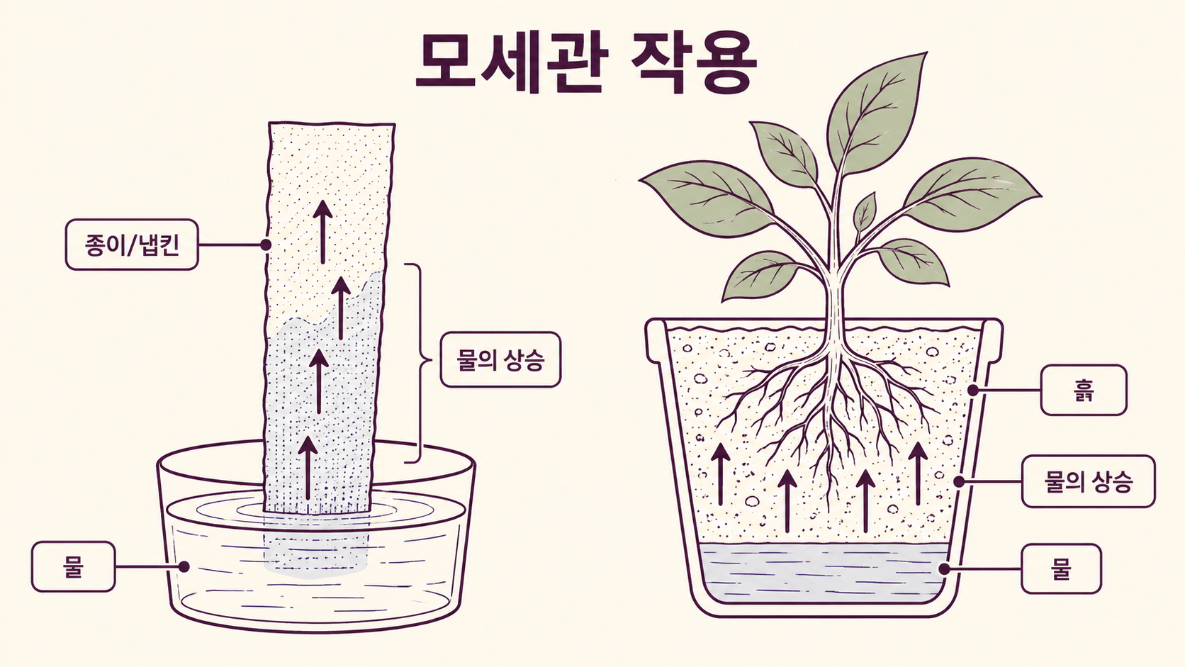 모세관 현상 설명 — 냅킨 끝을 물에 담그면 물이 위로 올라오는 원리