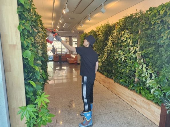 작업자들이 대형 벽면 수직정원을 점검하고 보식하는 정기 관리 현장