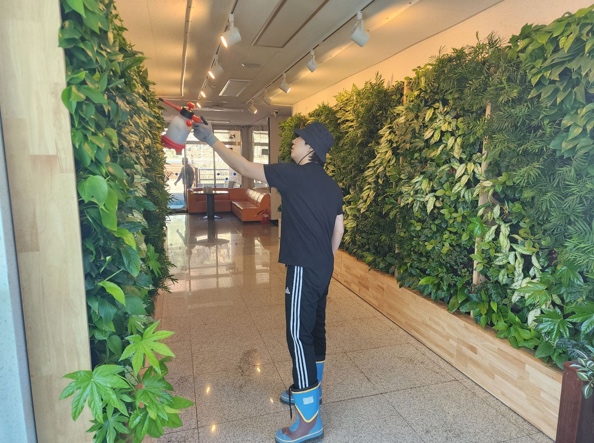 블로그 본문 이미지