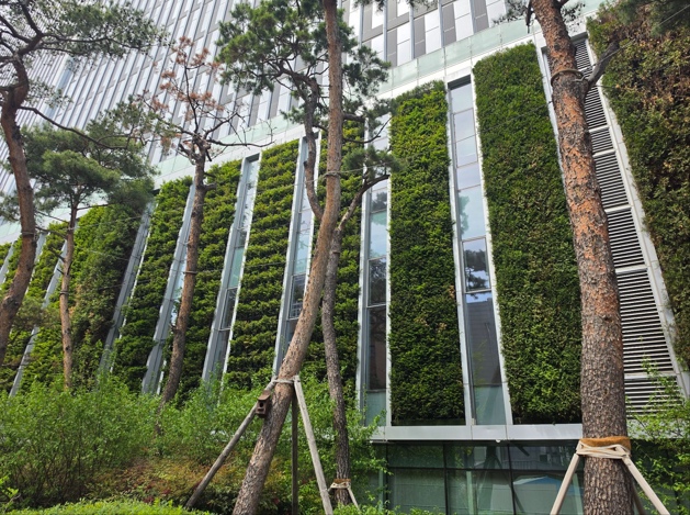 블로그 본문 이미지