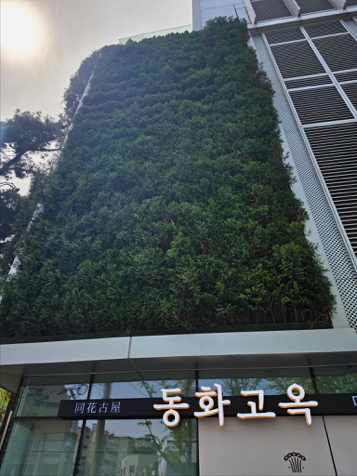 블로그 본문 이미지