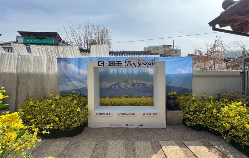 #팝업식물소재 #프리저브드플라워 #조화장식 #브랜드팝업디자인 #팝업포토존