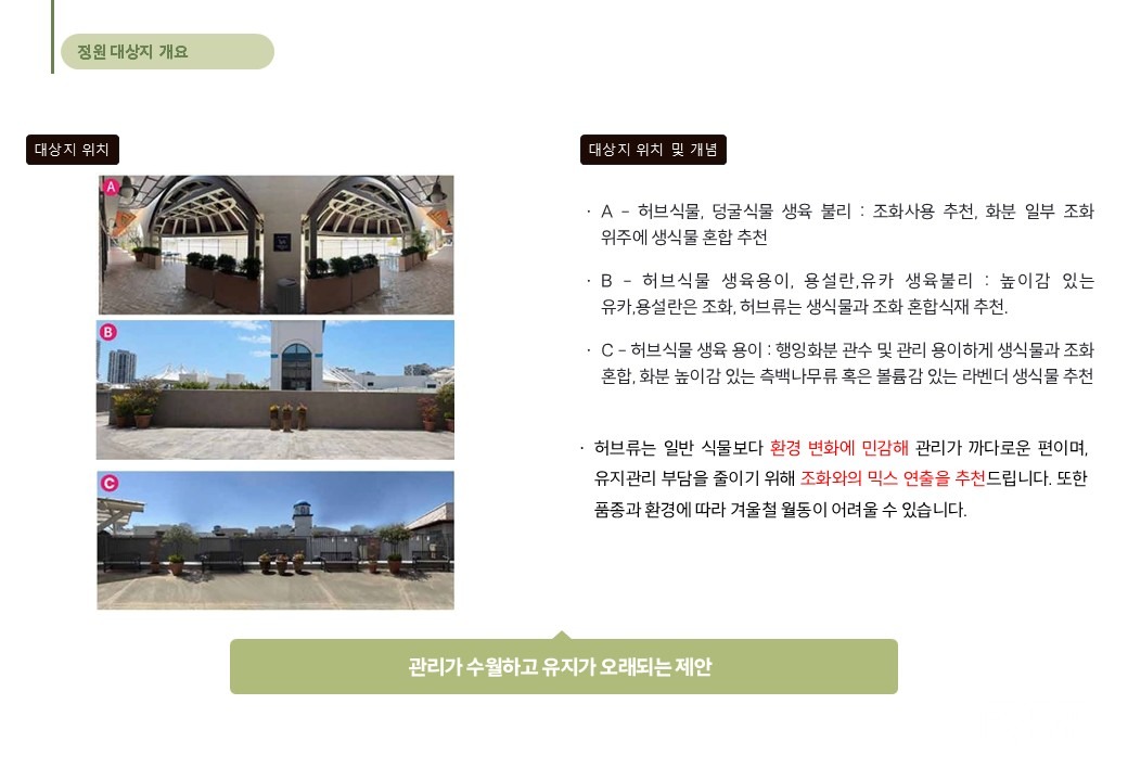블로그 본문 이미지
