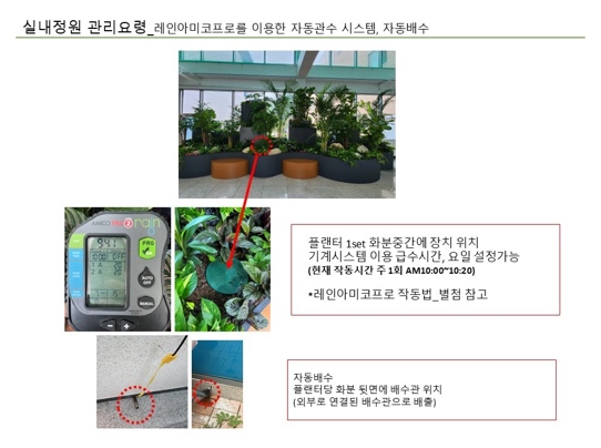블로그 본문 이미지