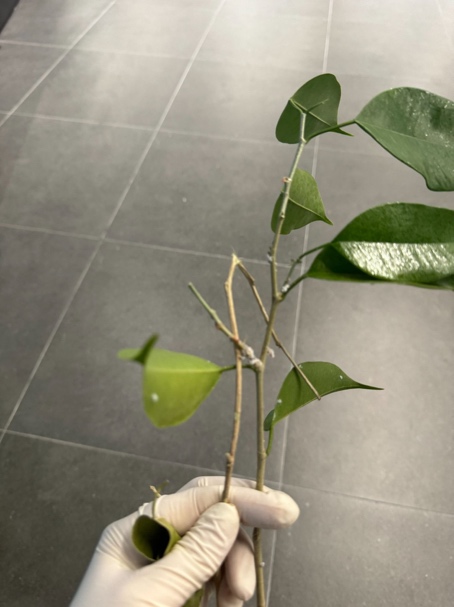 블로그 본문 이미지