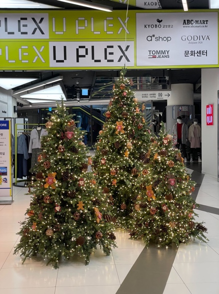 다양한 트리의 그룹 배치