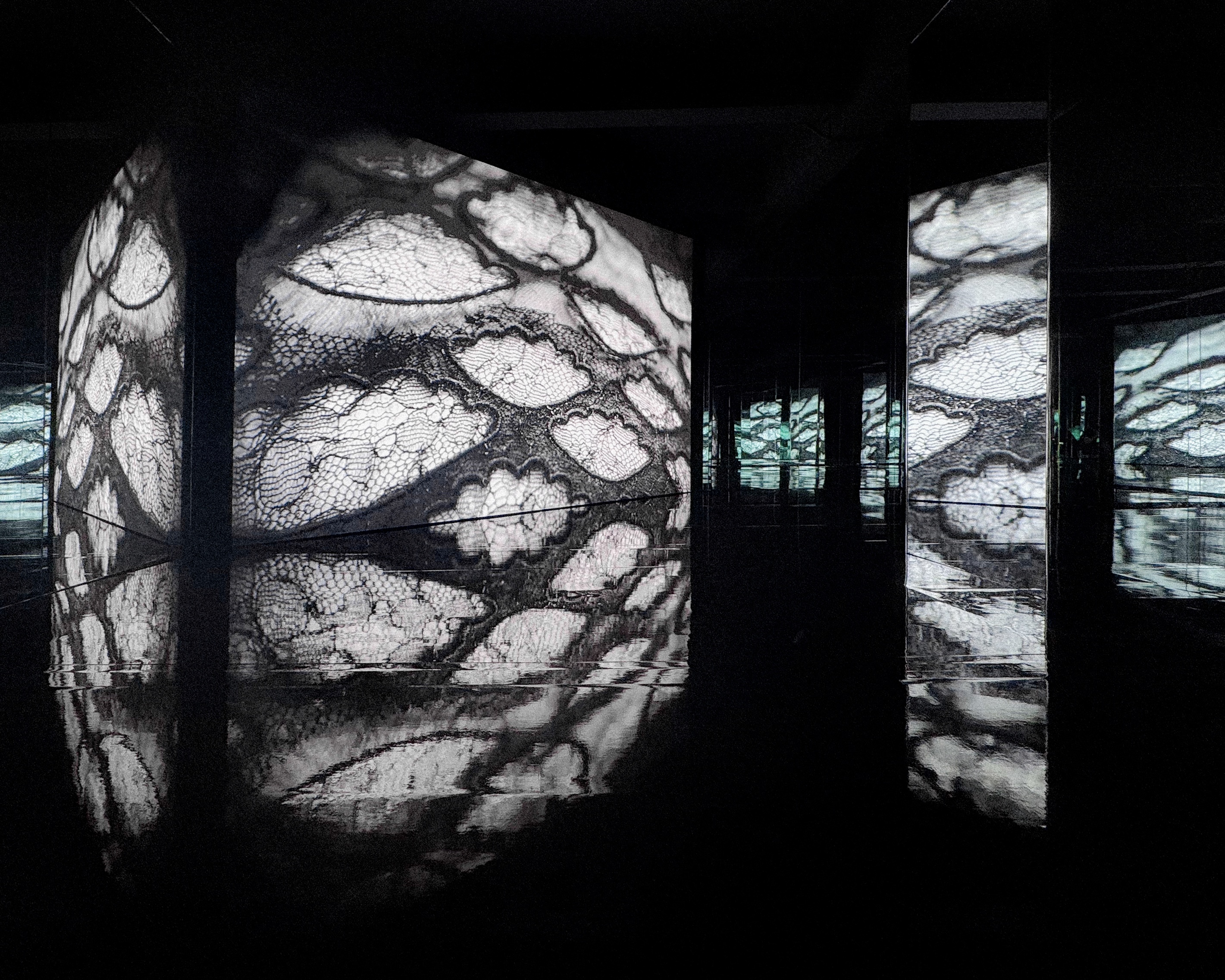 Black lace imagery wraps the exhibition screens and reflects across the floor.