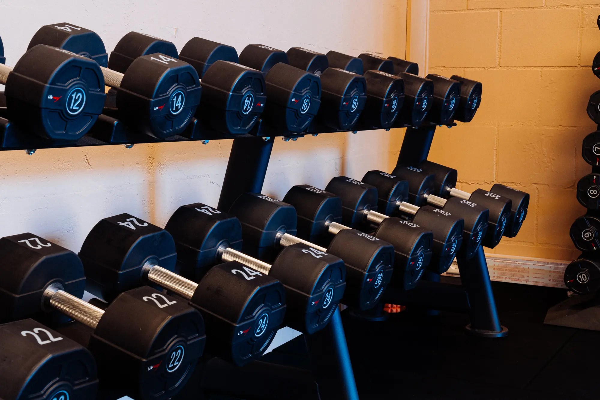 Rek met dumbbells in de trainingsruimte van Fitbase