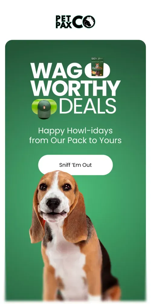 Email design by Mail-Aid
