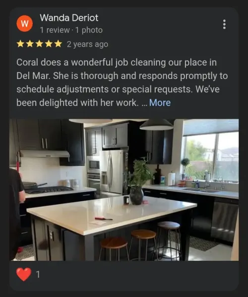 Google review screenshot