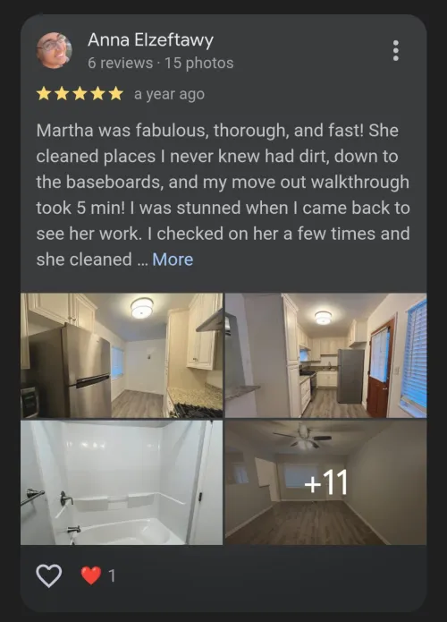 Google review screenshot