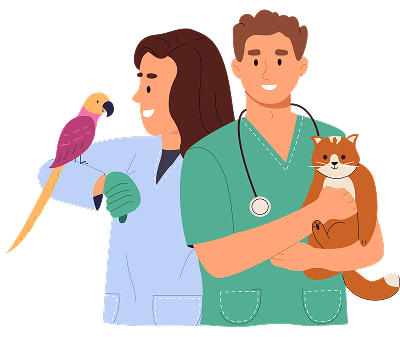 Vet team illustration