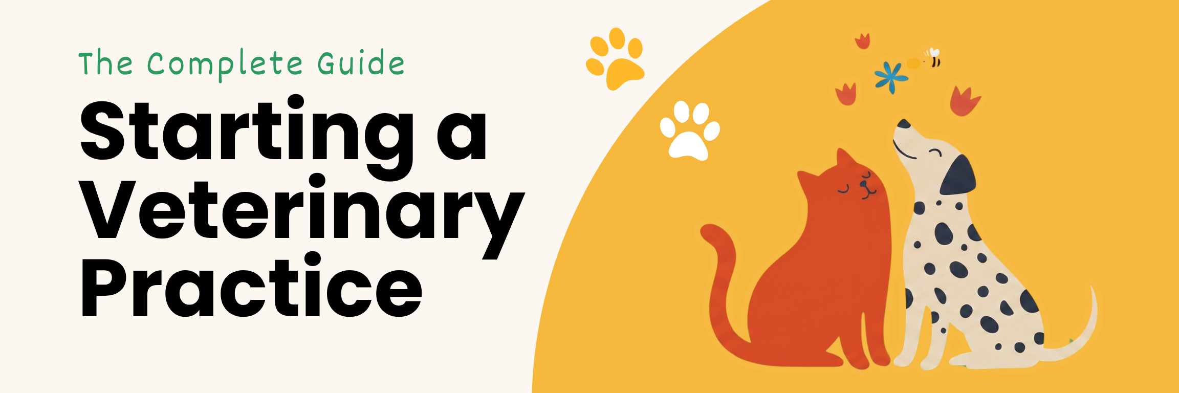 Starting a Veterinary Practice: The Complete Guide