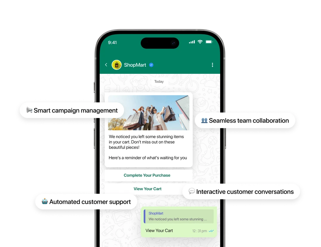 Telinfy Campaign Interface screenshot