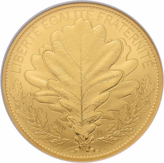 5000 Euro 2020, kavel 1089 uit Veiling 371 van Schulman