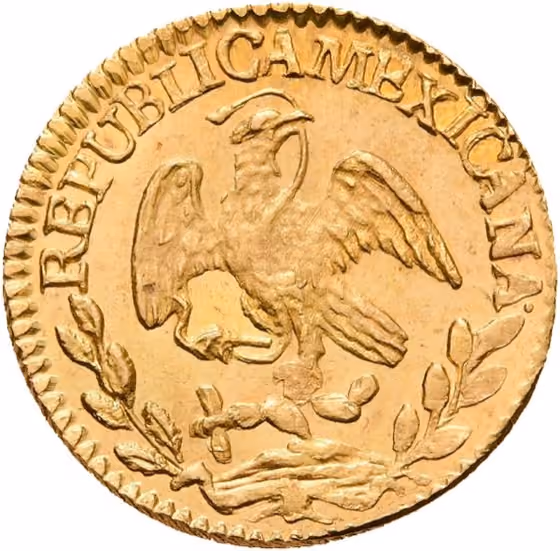 1/2 Escudo 1841, kavel 305 uit Veiling 364 van Schulman