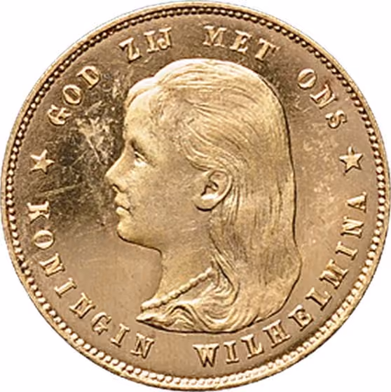 10 Gulden of gouden tientje 1895, kavel 242 uit Veiling 355 van Schulman