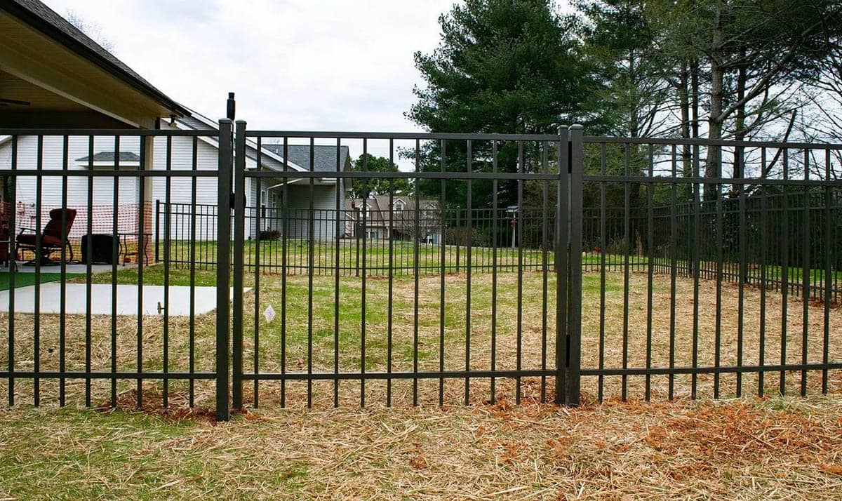 Black ornamental aluminum fence and matching gate around a straw-mulched back yard