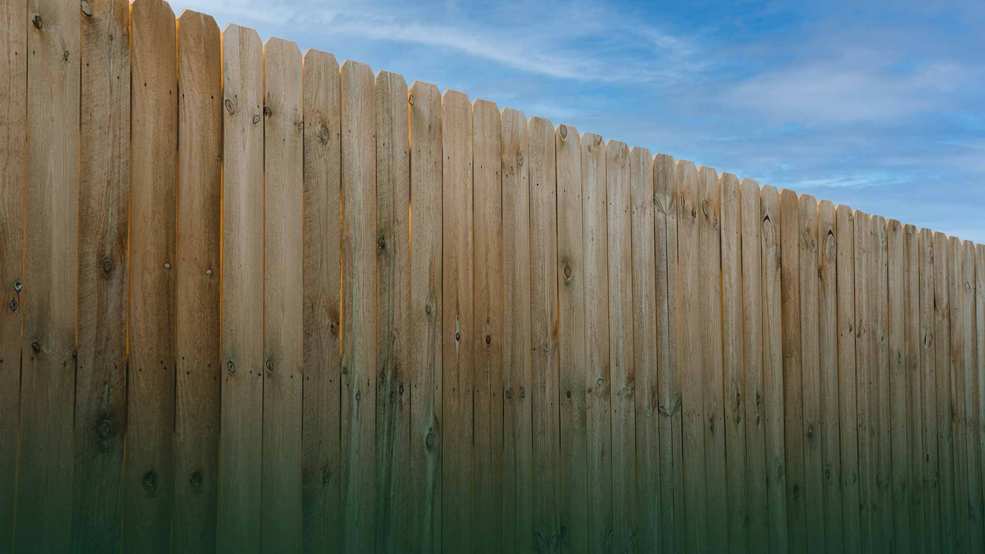 Dog-ear pressure-treated wood privacy fence seen from below against a blue sky