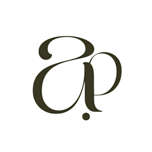 Api Accessories logo
