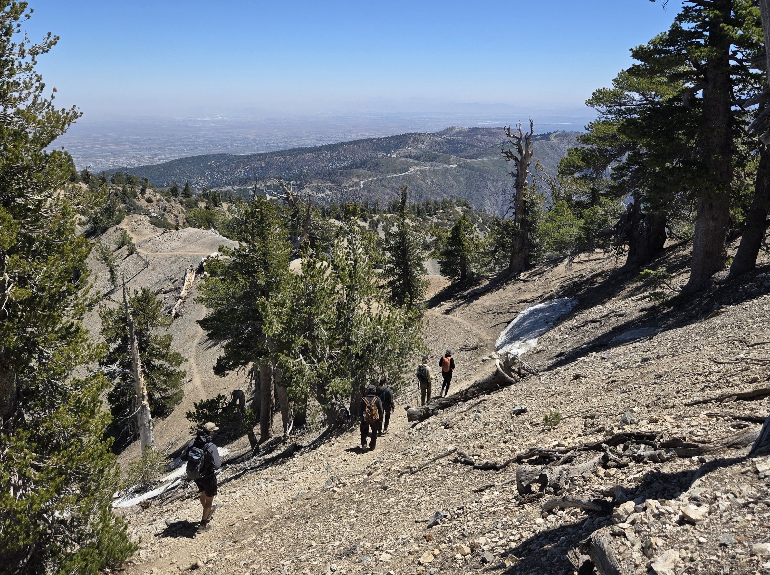 Hikers crossing a rocky pine forest trail during the Baden-Powell community hike