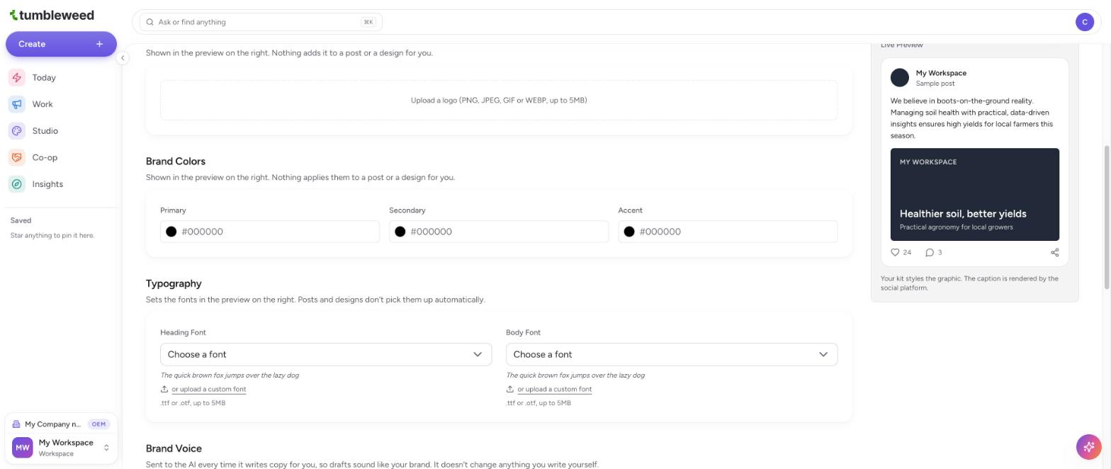 The Brand Colors and Typography sections with the Live Preview beside them