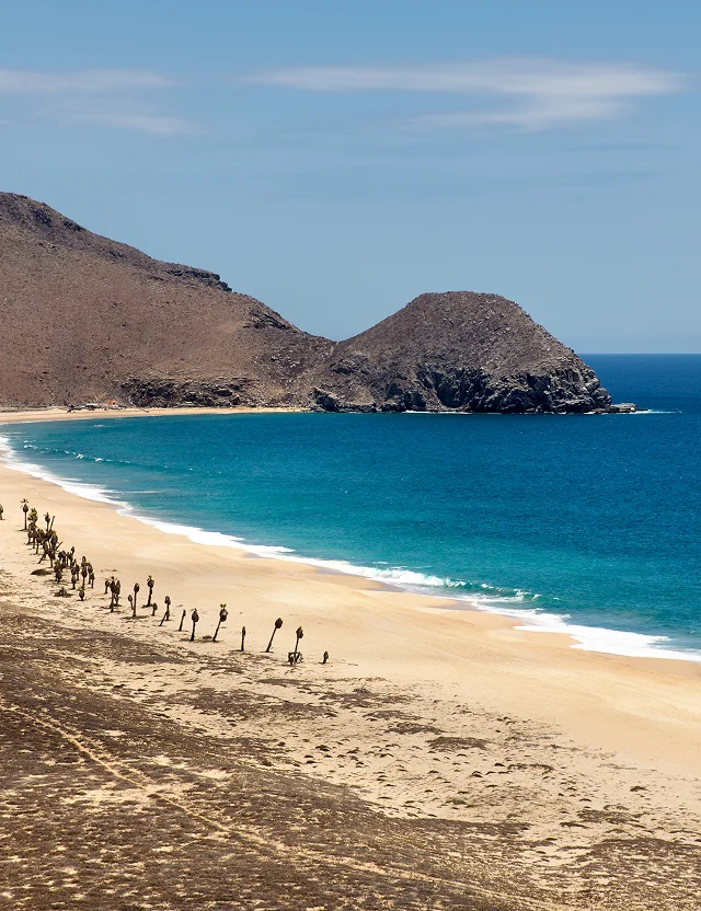 Costa abierta del Pacífico cerca de Todos Santos, Baja California Sur